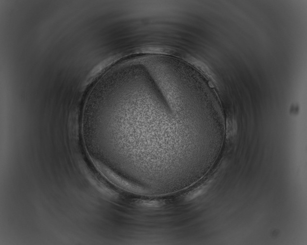 X0000091520349200708311254