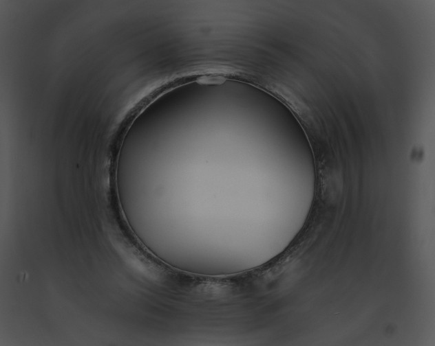 X0000091520350200708311254