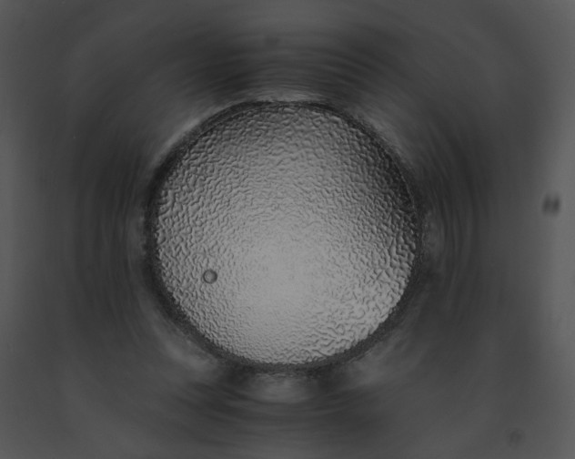 X0000091520351200708311254