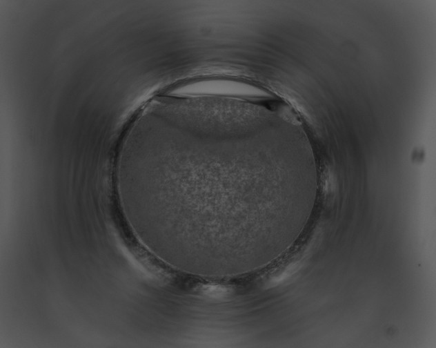 X0000091520352200708311254