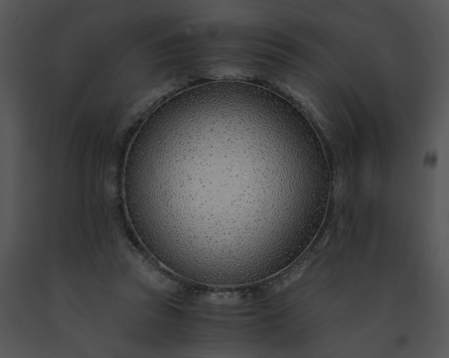 X0000091520353200708311254