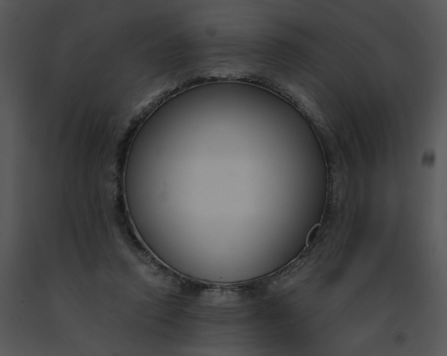 X0000091520354200708311254