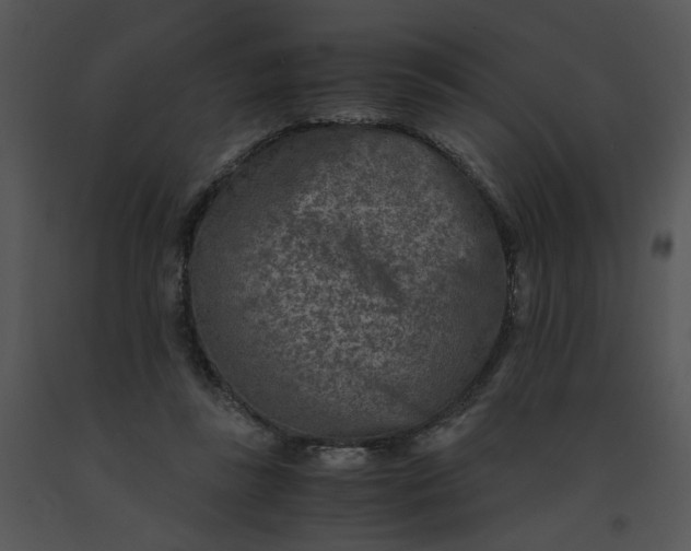 X0000091520355200708311254