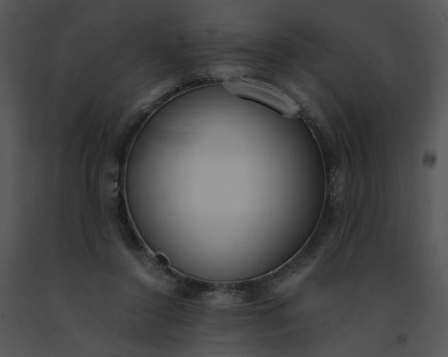 X0000091520356200708311254