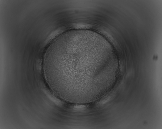 X0000091520357200708311254