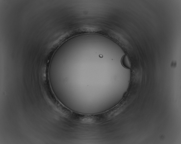 X0000091520358200708311254