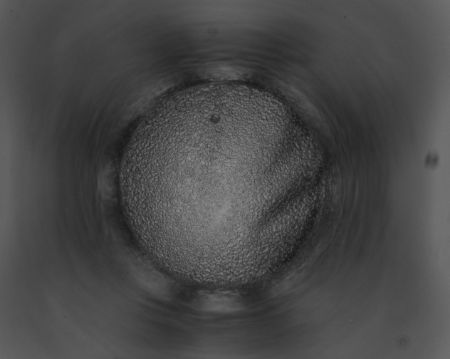 X0000091520359200708311254