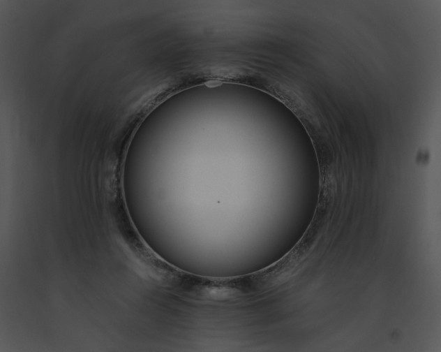 X0000091520360200708311254