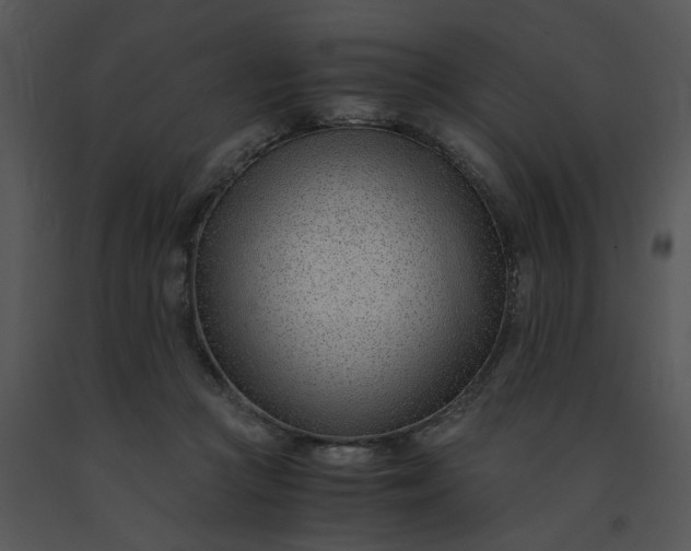 X0000091520361200708311254