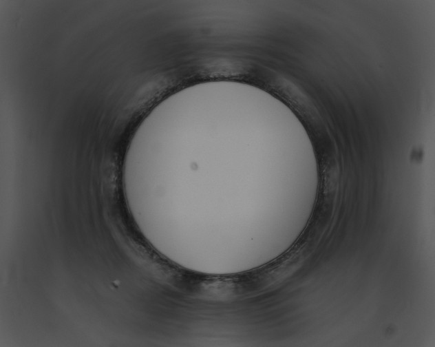 X0000091520362200708311254