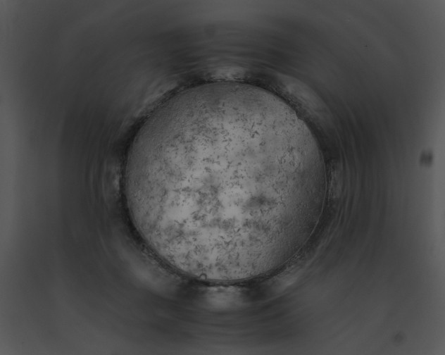 X0000091520363200708311254