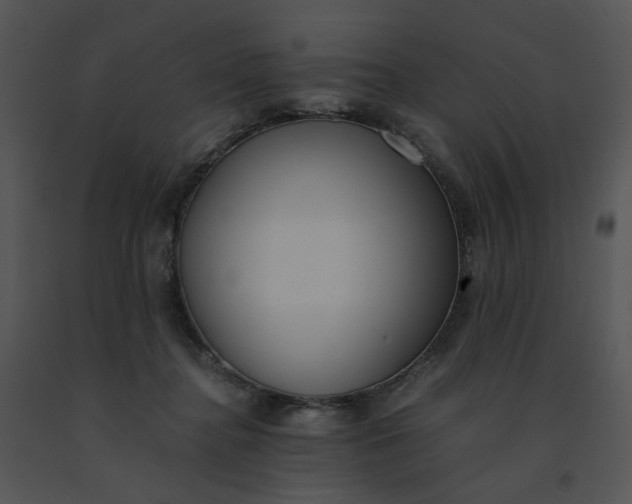 X0000091520364200708311254