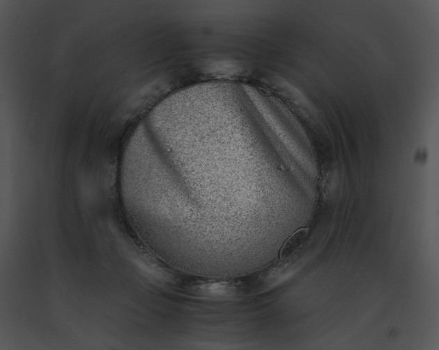 X0000091520365200708311254