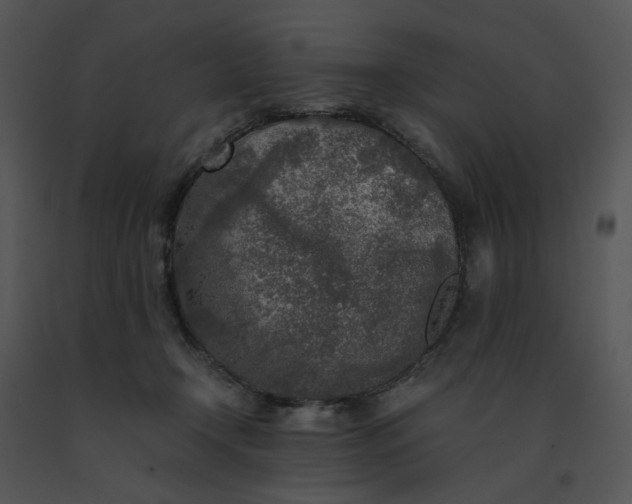 X0000091520366200708311254