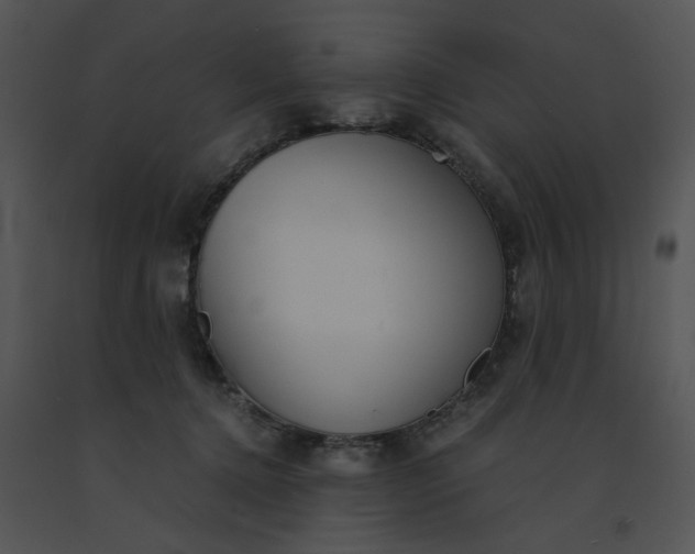 X0000091520368200708311254