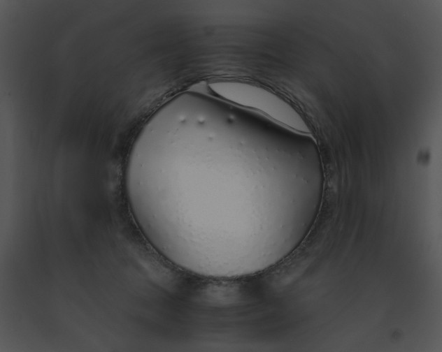 X0000091520369200708311254