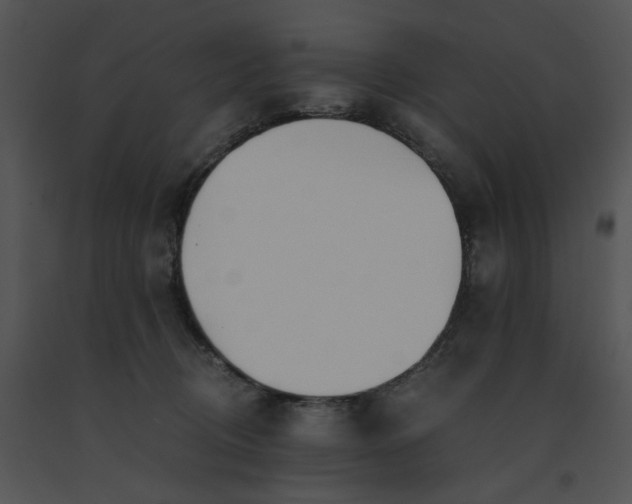 X0000091520370200708311254