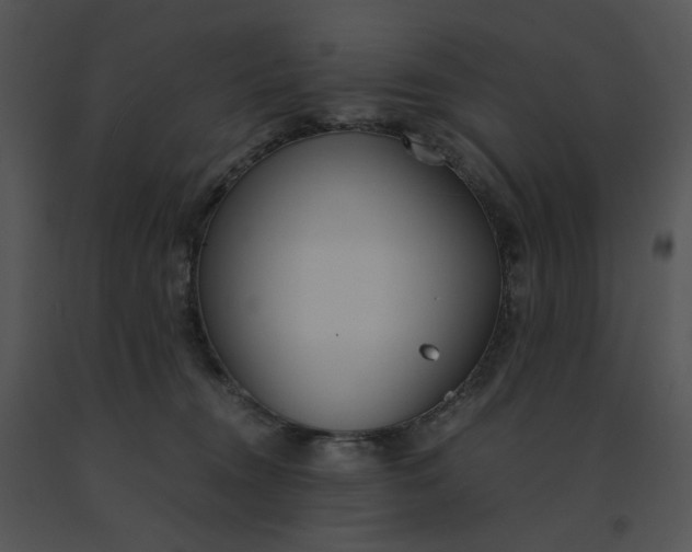 X0000091520372200708311254