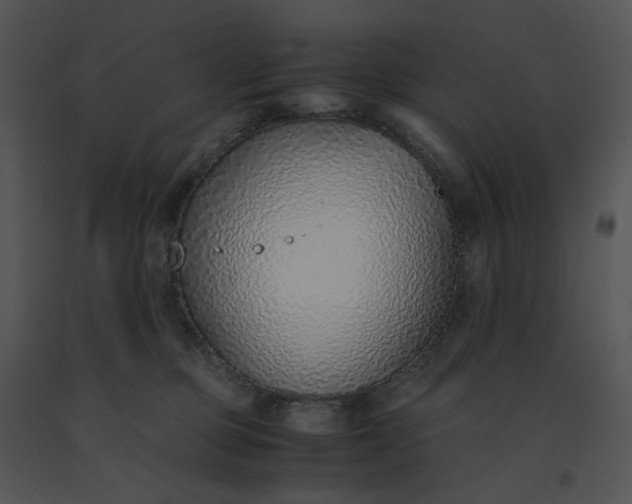 X0000091520373200708311254