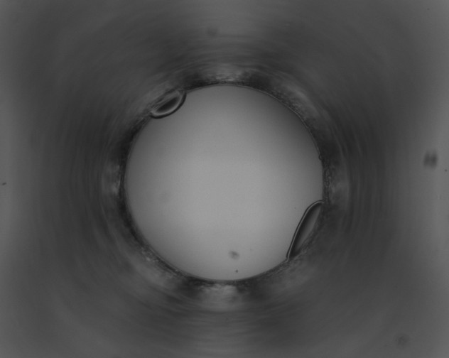 X0000091520374200708311254