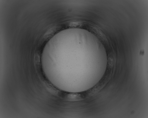 X0000091520375200708311254