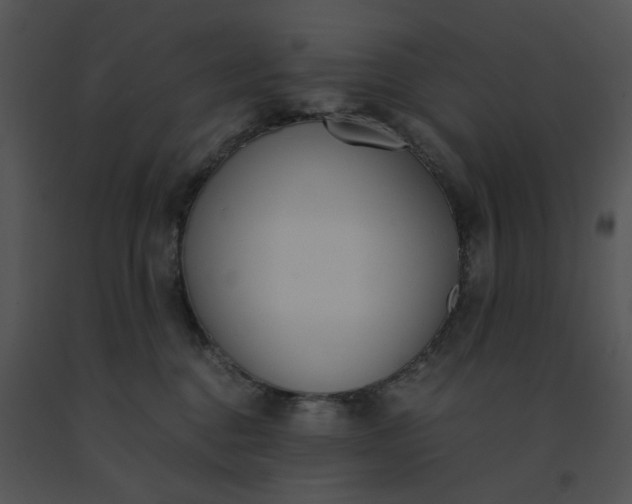 X0000091520376200708311254