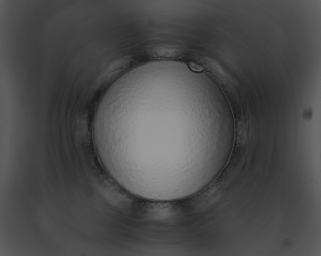 X0000091520377200708311254