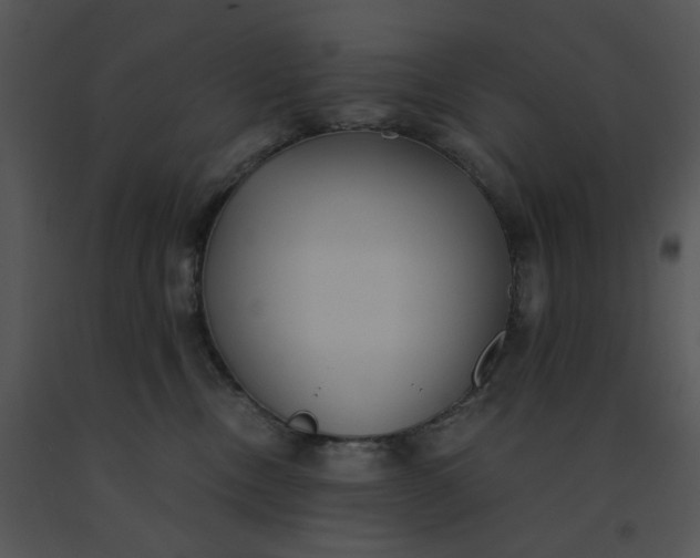 X0000091520378200708311254