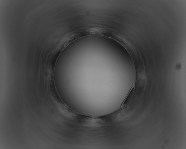 X0000091520379200708311254