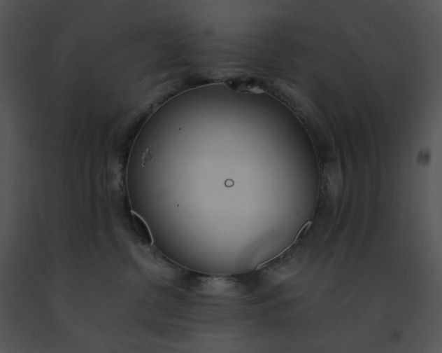 X0000091520380200708311254