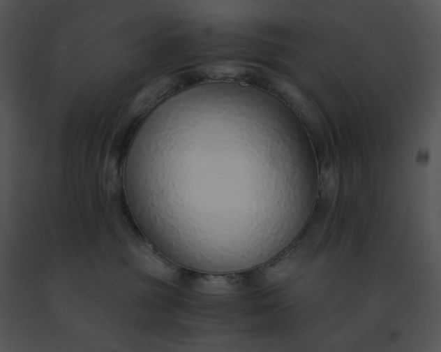 X0000091520381200708311254