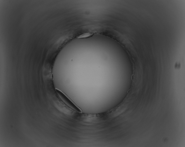 X0000091520384200708311254