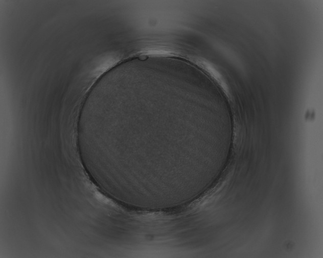 X0000091520385200708311253