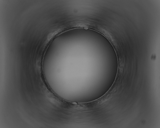 X0000091520386200708311253