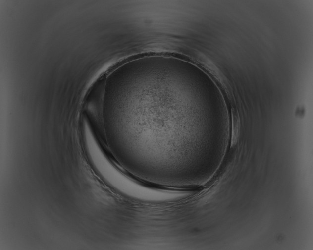 X0000091520387200708311253