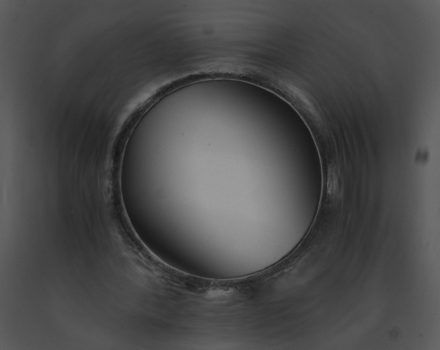 X0000091520388200708311253