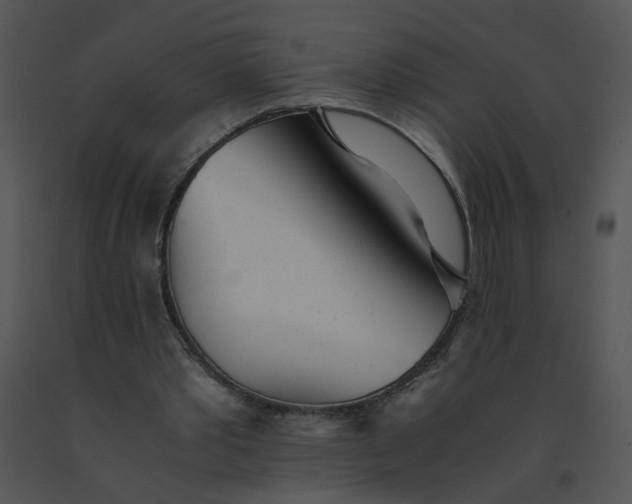 X0000091520389200708311253