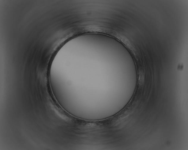 X0000091520390200708311253