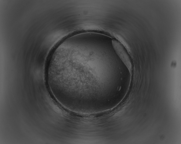 X0000091520391200708311253