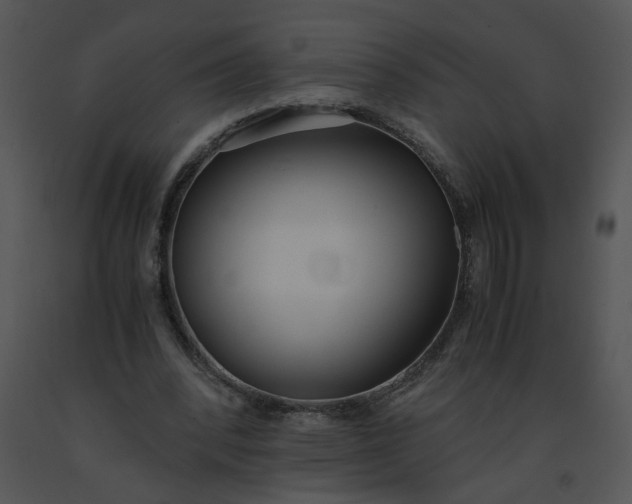 X0000091520392200708311253