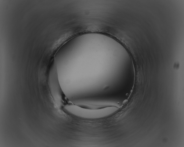 X0000091520393200708311253