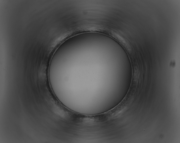 X0000091520394200708311253