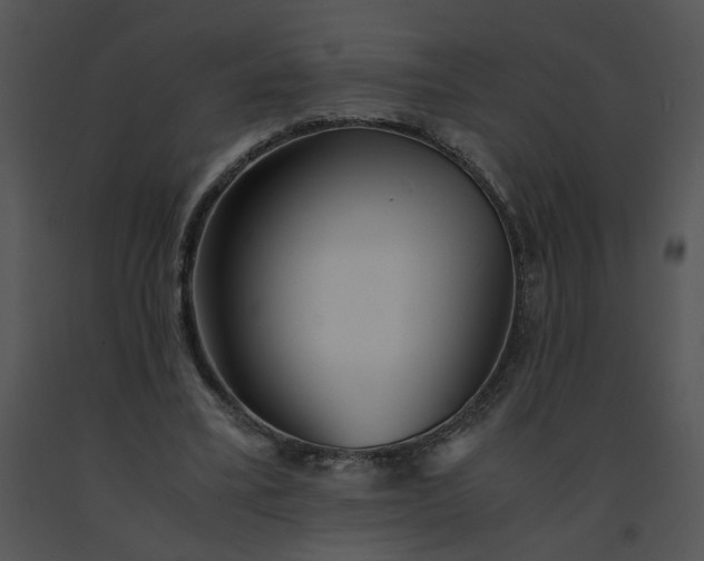 X0000091520395200708311253