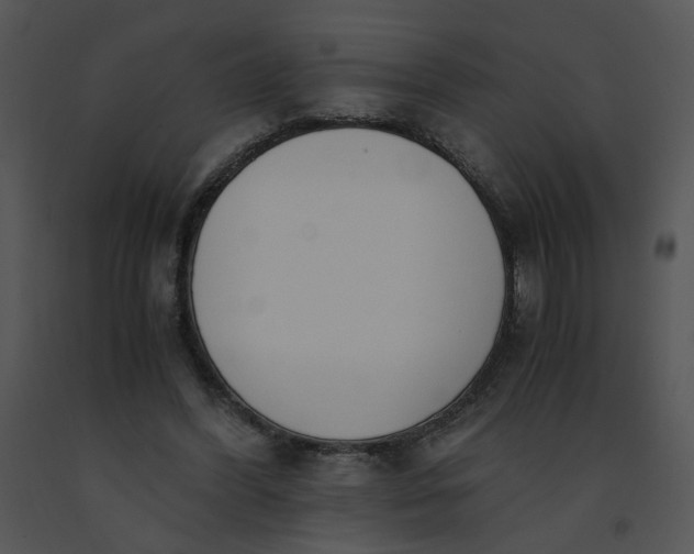 X0000091520396200708311253