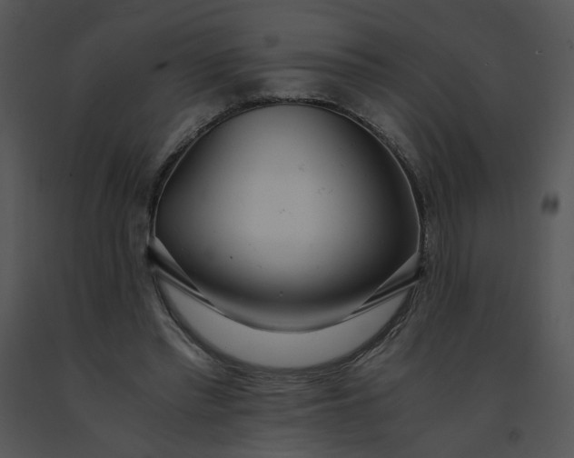 X0000091520397200708311253