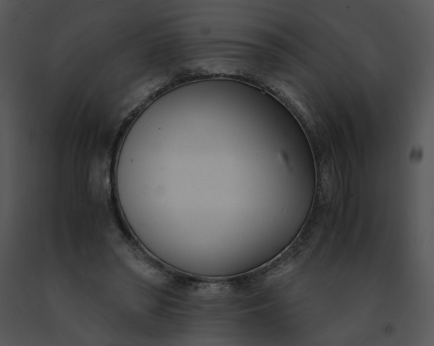 X0000091520398200708311253