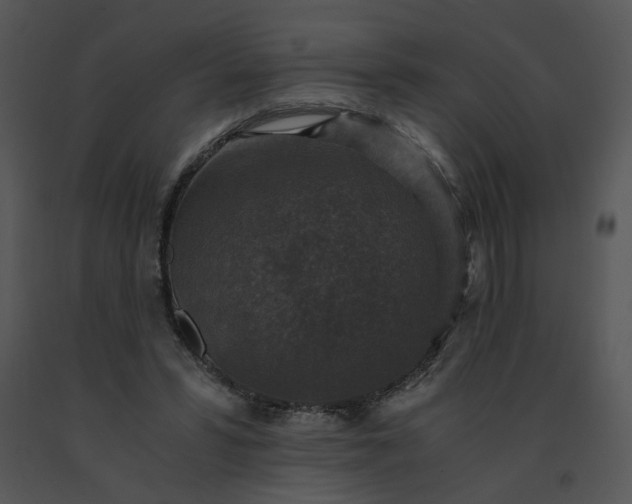 X0000091520399200708311253