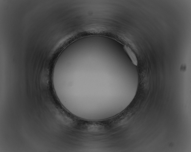 X0000091520400200708311253