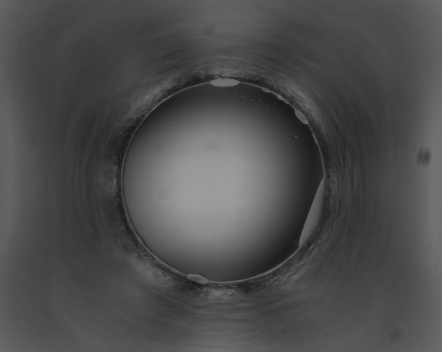 X0000091520401200708311253