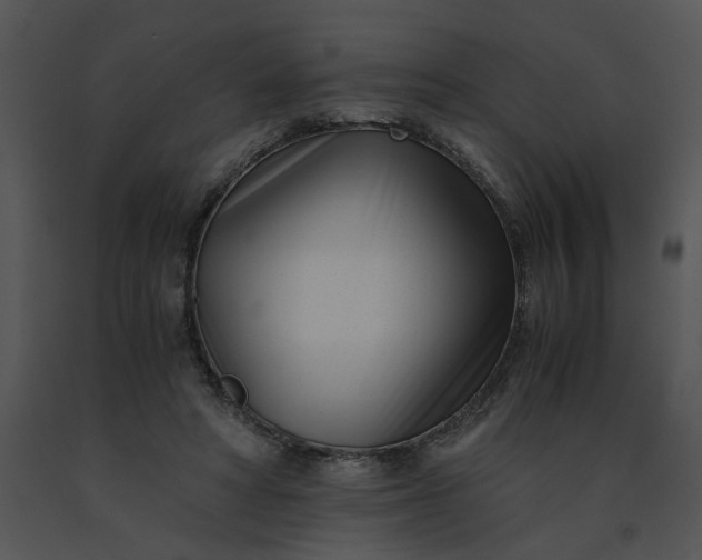 X0000091520402200708311253